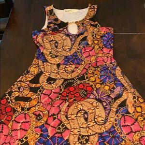 Nicki Minaj skater dress.